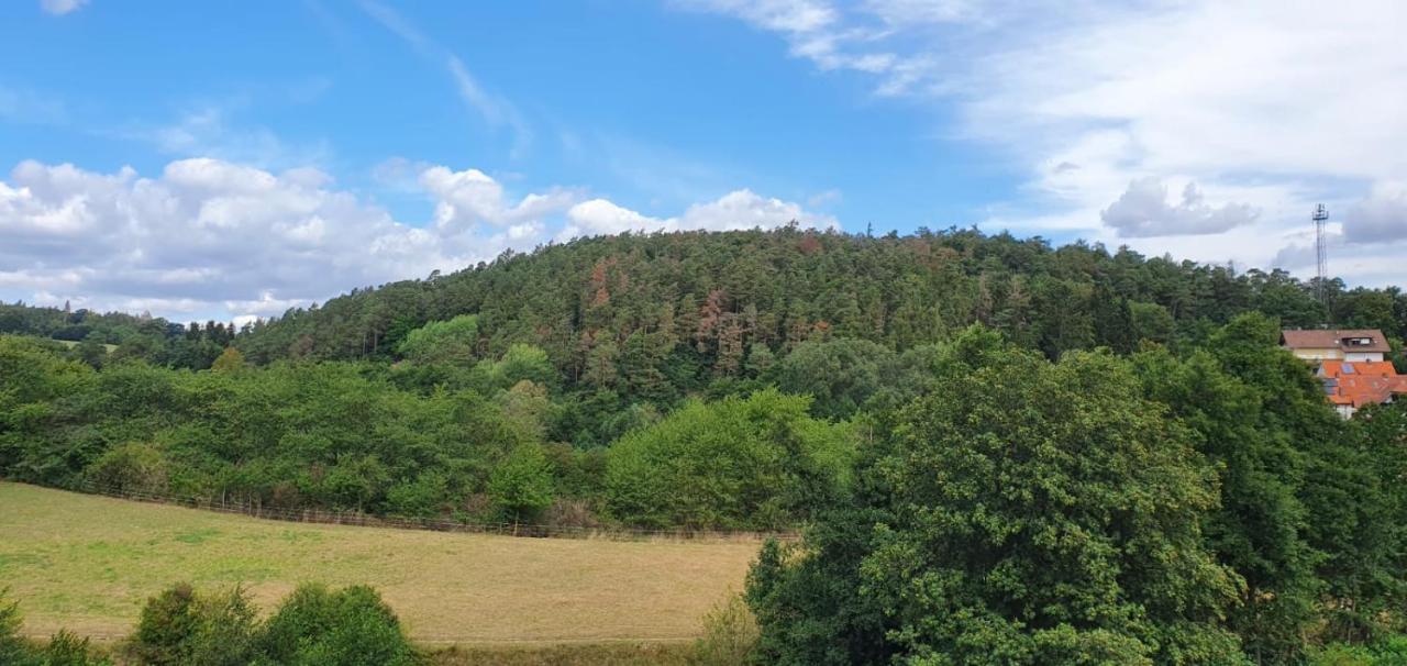 Apartment Waldblick Bad Wildungen